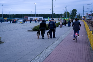 Dwaj przewodnicy psów służbowych z dwoma psami patrolują teren w pobliżu stadionu