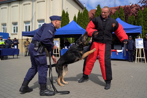 młodzież ogląda policyjne stanowiska i pokazy przygotowane przez funkcjonariuszy