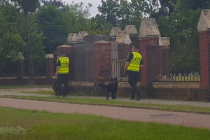 dwaj przewodnicy psów służbowych straży miejskiej patrolują z psami