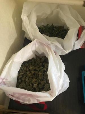 zabezpieczona marihuana w worku