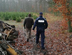 Patrol idzie w miejsce, gdzie rosną małe choinki.