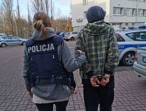 Policjantka prowadzi zatrzymanego. W tle radiowozy policyjne.