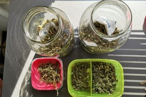 w dwóch słoikach i dwóch pudełkach plastikowych znajduje się marihuana