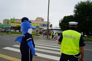 Policjant i &quot;polfinek&quot; obserwują przejście dla pieszych.