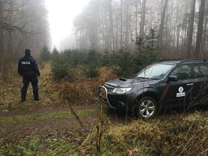 Policjant stoi w lesie patrząc w stronę lasu. Po jego prawej stronie stoi zaparkowany samochód straży leśnej.