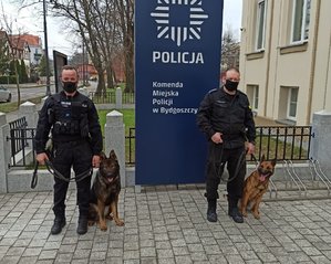 Policjanci stoją z psami przy tablicy informacyjnej Komendy Miejskiej Policji w Bydgoszczy.