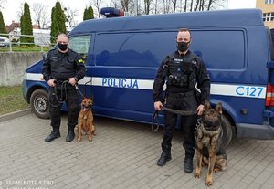 Policjanci stoją z psami na tle policyjnego radiowozu.