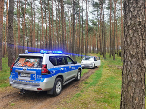 Radiowóz na sygnałach świetlnych. Przed nim stoi biały samochód osobowy, który wjechał do lasu.