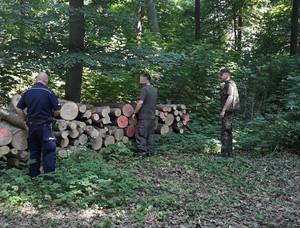 Patrol wraz z mężczyzną stoi przy stercie drewna.