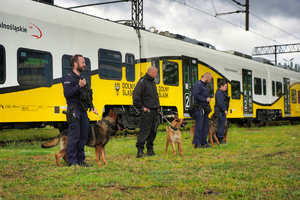 czworo policjantów z psami stoi w szeregu przed wagonem pociągu