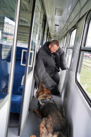 pies trzyma za ubranie pozoranta- napastnika