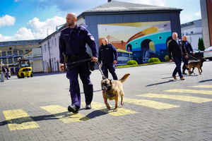 Policjanci z psami idą po placu firmy. W tle inne osoby oraz budynki.