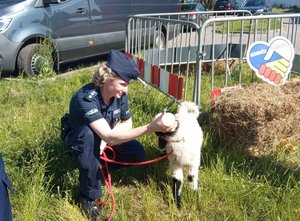 Policjantka kuca i karmi zwierzątko.