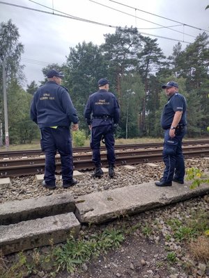 Policjant i strażnicy ochrony kolei na torowisku w terenie zielonym.