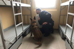 policjant kuca przy psie, który siedzi przy łóżku w celi
