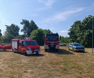 radiowóz policyjny i wozy strażackie