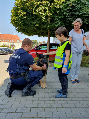 Dziecko głaszcze policyjnego psa służbowego