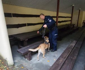 Policjanci z psami podczas sprawdzianu.