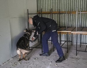 Policjanci z psami podczas sprawdzianu.