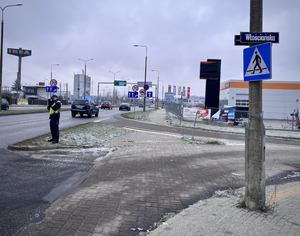 Policjanci w trakcie działań na drodze