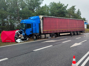 Pojazdy biorące udział w wypadku