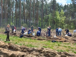 Policjanci i inne osoby podczas sadzenia lasu.