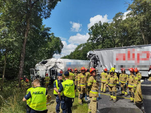 służby na miejscu wypadku drogowego