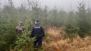 policjant i leśnik podczas kontroli lasu