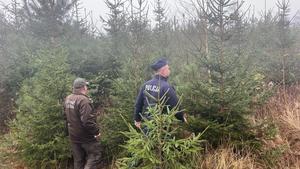 policjant i leśnik podczas kontroli lasu