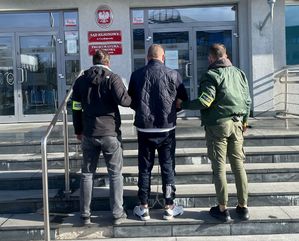 Policjanci prowadzą zatrzymanego do budynku sądu i prokuratury.