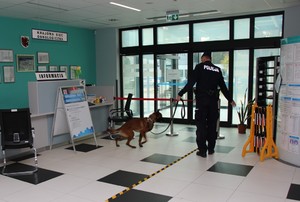 policjanci i inne służby podczas ćwiczeń
