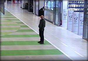 sprawca kradzieży
