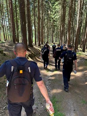 Policjanci podczas marszu w terenach zielonych.