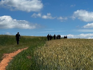 Policjanci podczas marszu w terenach zielonych.