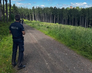 Policjanci podczas marszu w terenach zielonych.