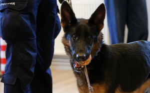 Policyjni profilaktycy w przedszkolu „Mały Poliglota”