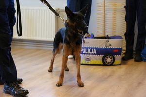 Policyjni profilaktycy w przedszkolu „Mały Poliglota”