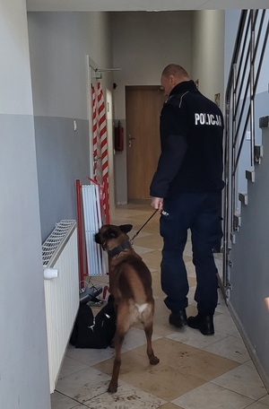 Służby podczas ćwiczeń.