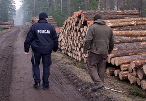 Fordoński dzielnicowy wspólnie z leśnikiem prowadzą kontrole lasów