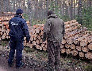 Fordoński dzielnicowy wspólnie z leśnikiem prowadzą kontrole lasów