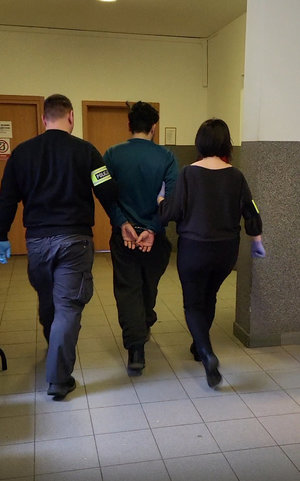 zatrzymani emigranci