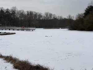 Policjanci czuwają nad bezpieczeństwem podczas zimowych zabaw