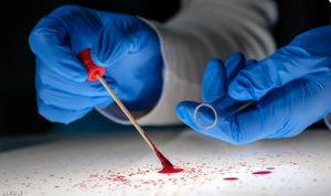 Archiwum X - w genach zapisane jest niemal wszystko