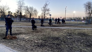 Policjanci podczas zabezpieczenia meczu.