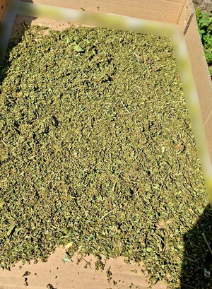 Policjanci zabezpieczyli ponad 1,3 kilograma marihuany i nie tylko