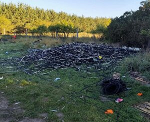 leżące w terenie zielonym wypalone kable
